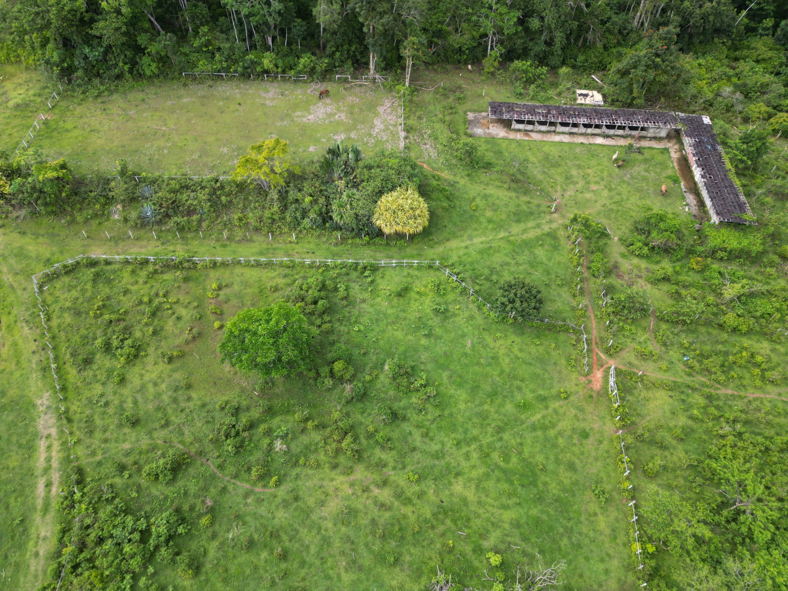 Eco Development Opportunity — Large-Scale Land with Infrastructure in La Guázara