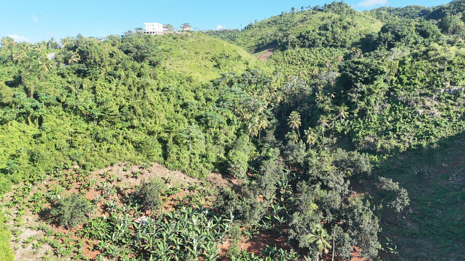 LAND FOR DEVELOPMENT NEAR THE BEACH