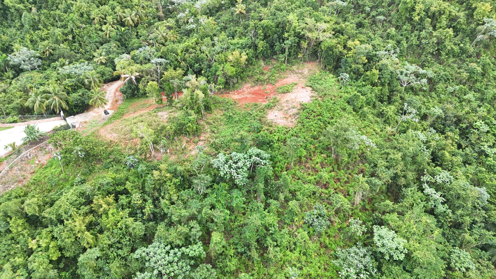 Panoramic Ocean View Lots Playa Cosón – Las Terrenas