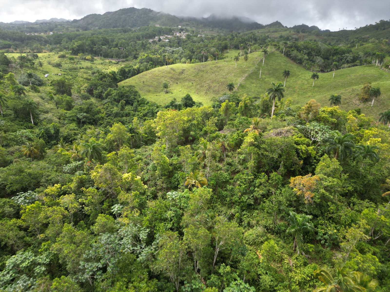 Eco Development Opportunity — Large-Scale Land with Infrastructure in La Guázara