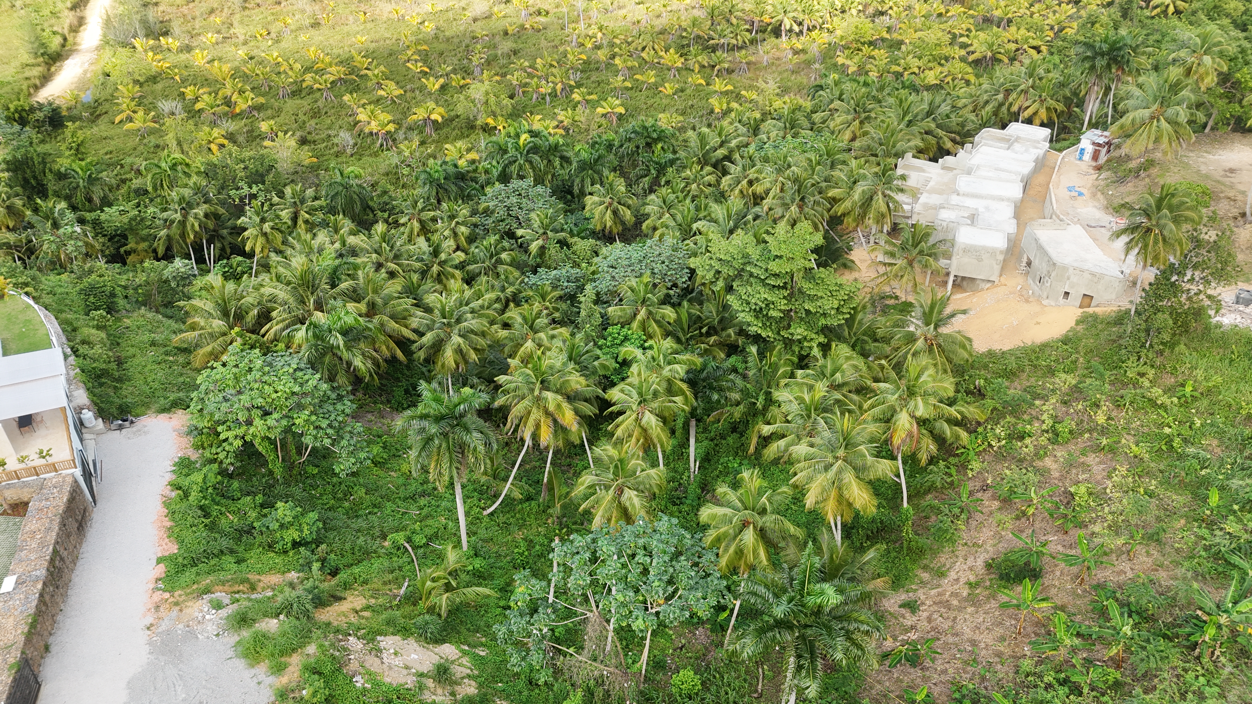 2,500 m² Lot — Spacious and private near Playa Portillo