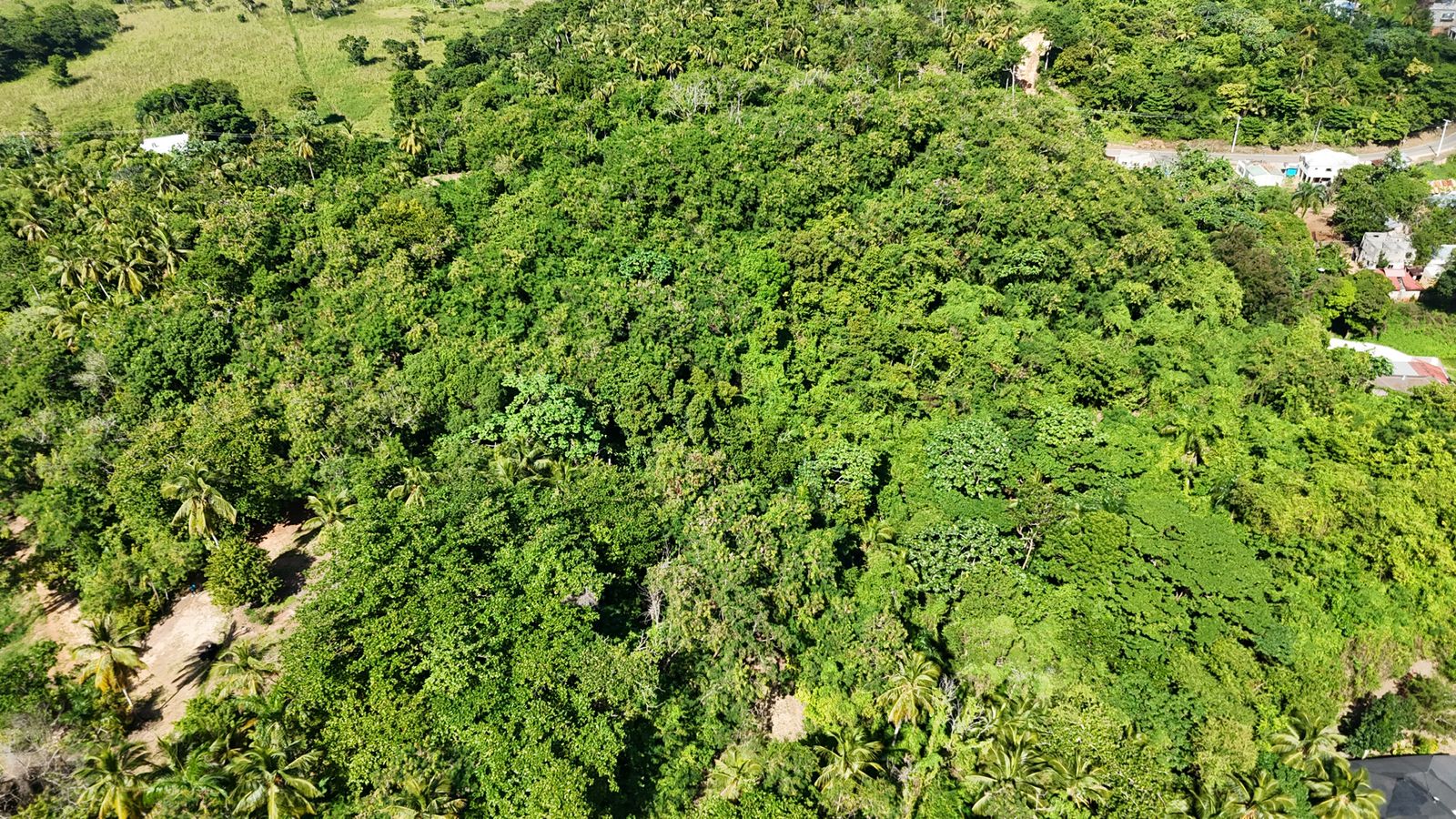 Land in Cosón 5,332 m²