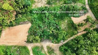 Lots for Sale – Playa Bonita, Las Terrenas