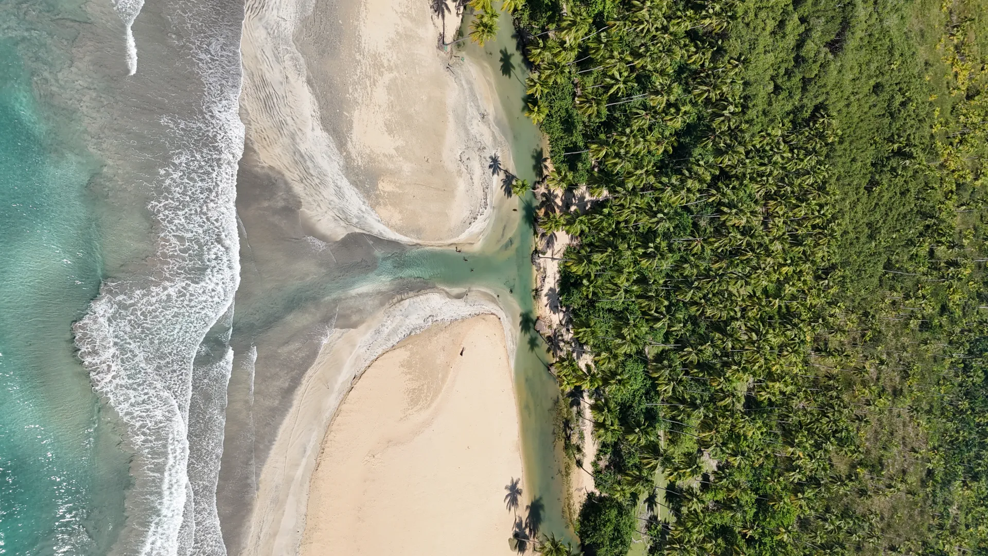 Experience the Best Views of Playa Cosón