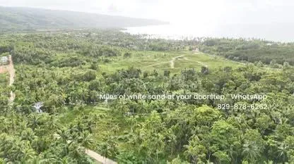 Lots for Sale – Playa Bonita, Las Terrenas