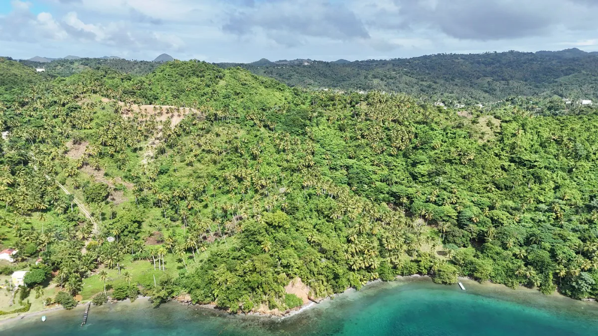 This is not just a piece of land.
