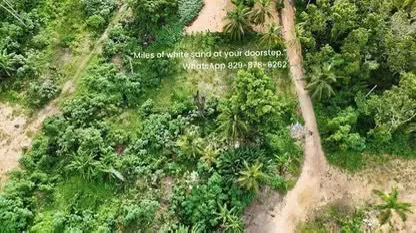 Lots for Sale – Playa Bonita, Las Terrenas