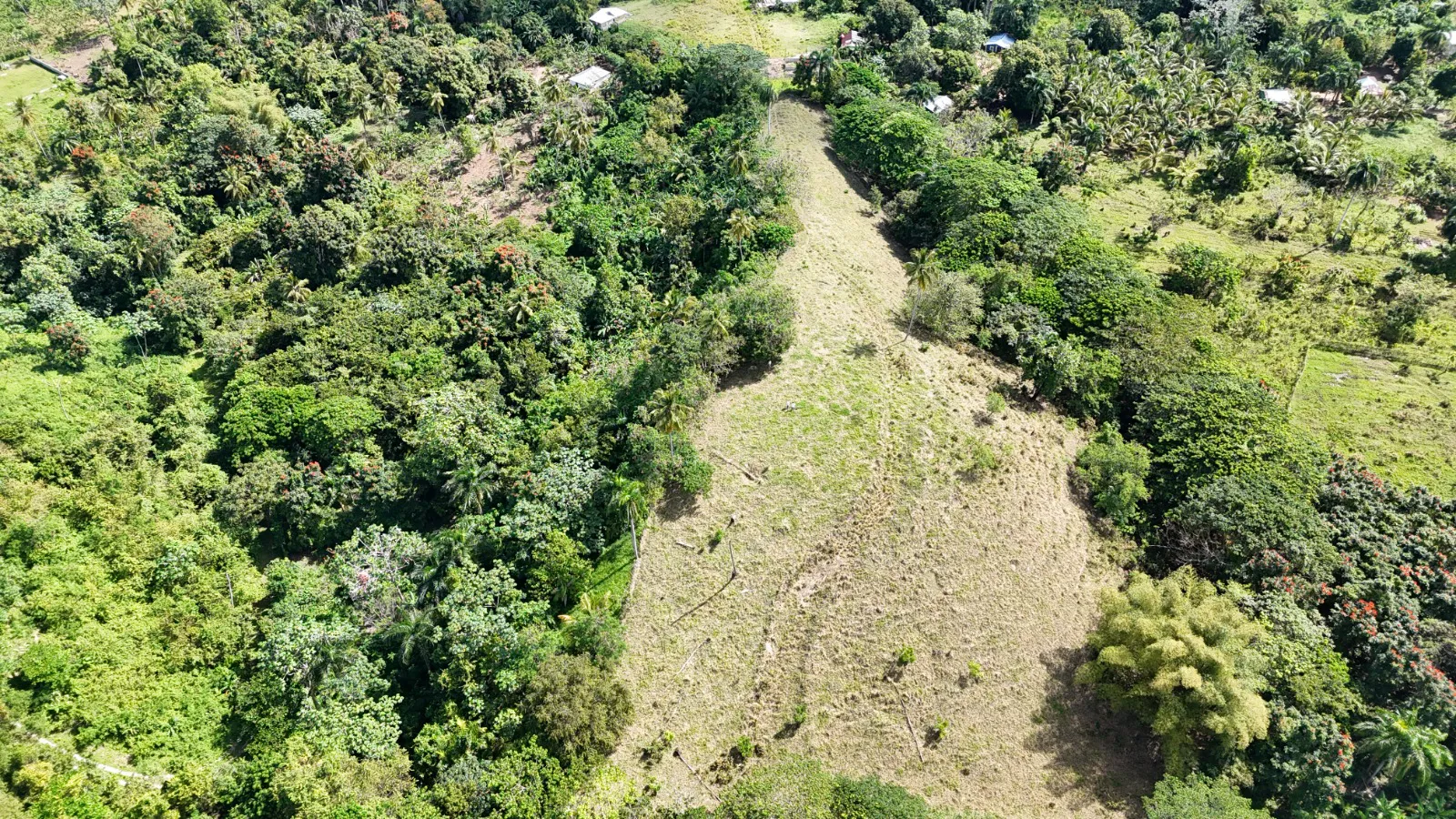 11,445 m² land located in El Limón, just 5 minutes by car from Playa Morón