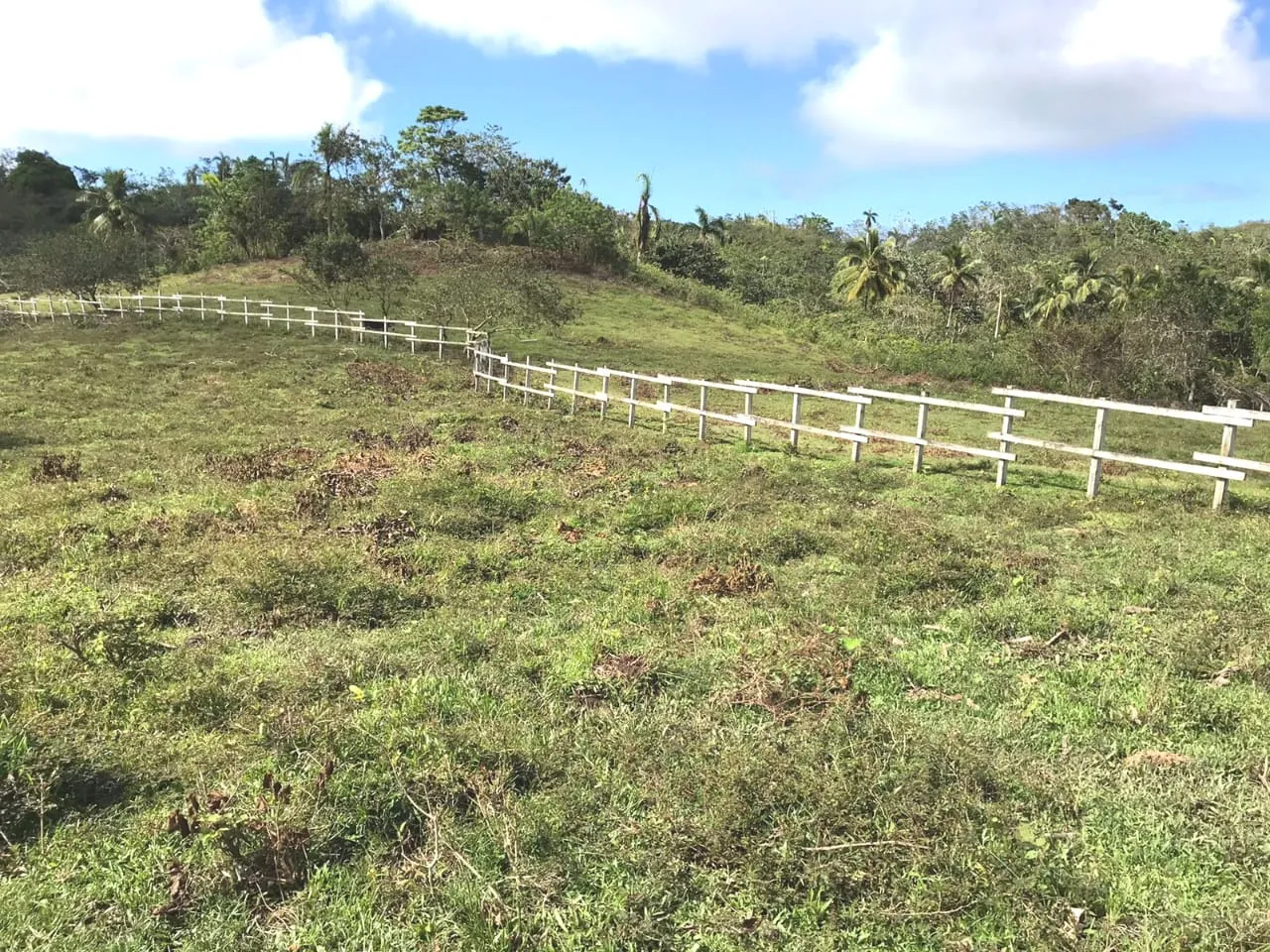 Eco Development Opportunity — Large-Scale Land with Infrastructure in La Guázara