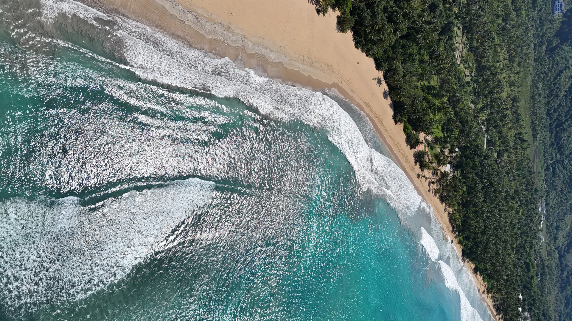 Experience the Best Views of Playa Cosón